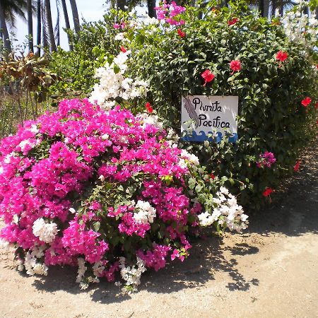 Playa JunquillalPlumita Pacificaアパートメント エクステリア 写真