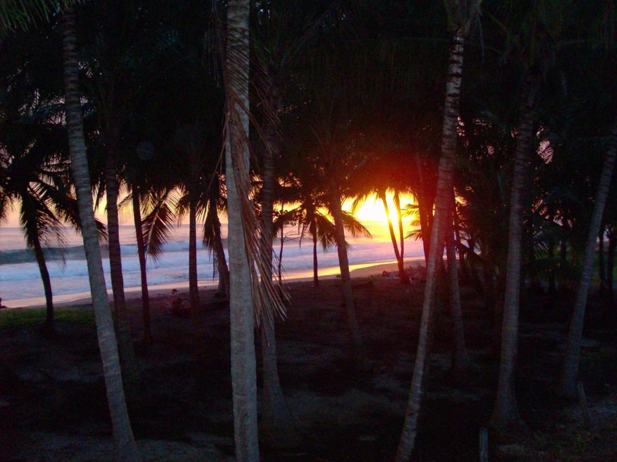 Playa JunquillalPlumita Pacificaアパートメント エクステリア 写真