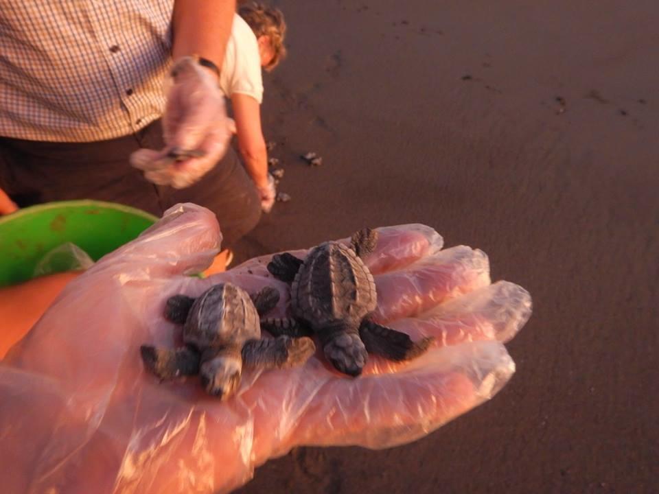 Playa JunquillalPlumita Pacificaアパートメント エクステリア 写真