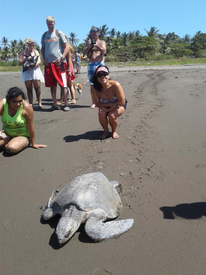 Playa JunquillalPlumita Pacificaアパートメント エクステリア 写真