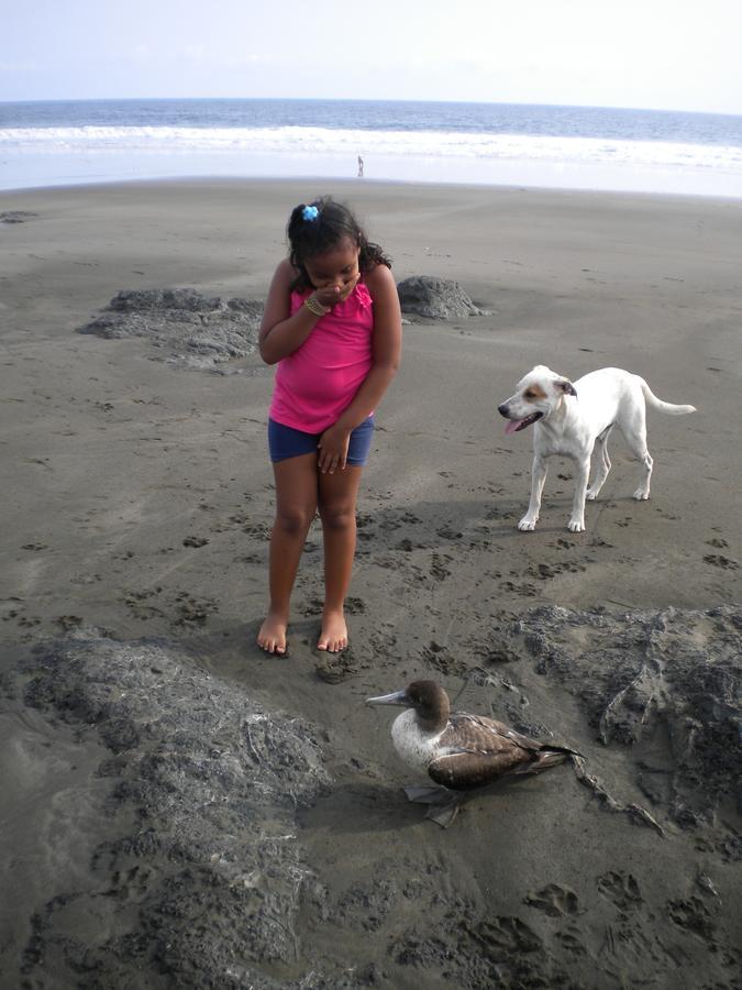 Playa JunquillalPlumita Pacificaアパートメント エクステリア 写真