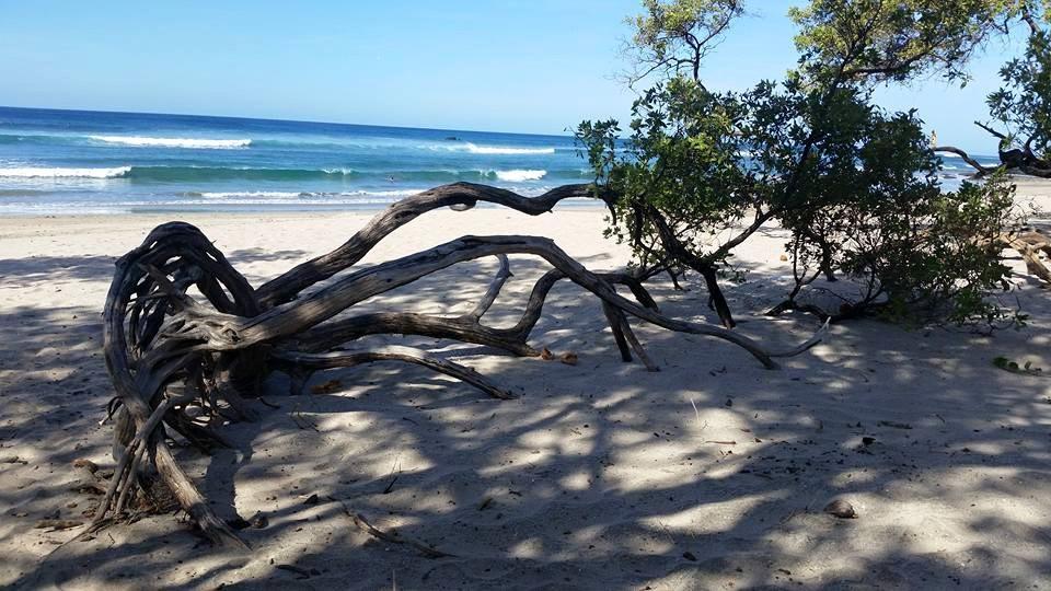 Playa JunquillalPlumita Pacificaアパートメント エクステリア 写真